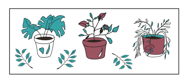 可愛いお花の鍋の落書きの写真のセット 鉢植えのバラ モンスター 葉を持つ小枝 白い背景に孤立した画像 — ストックベクタ
