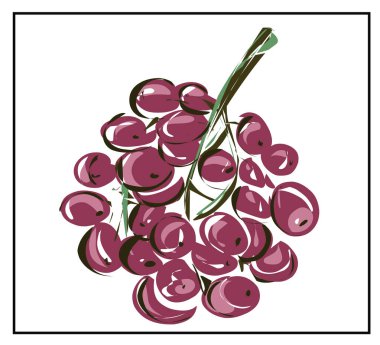Beyaz arka planda izole edilmiş üzümler. Hareket edebilirsin, kes..