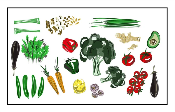 Ilustração Cores Vegetais Isolados Fundo Branco Brócolos Cebola Dill Pepinos —  Vetores de Stock