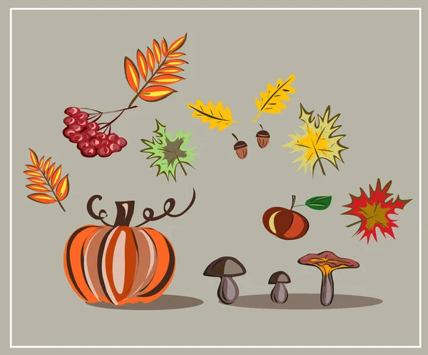 Otoño Otoño Setas Arce Roble Calabaza Rowan Una Manzana Septiembre — Vector de stock