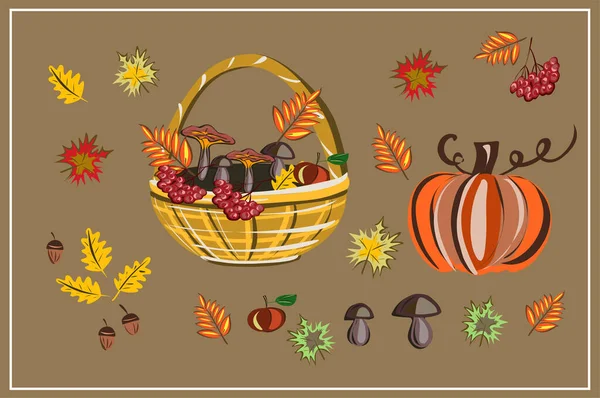 Otoño Otoño Setas Arce Roble Calabaza Rowan Una Manzana Septiembre — Vector de stock