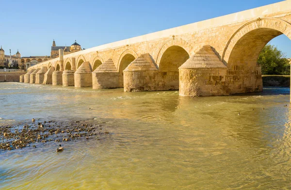 코르도바의 로마다리는 기원전 세기초 과달키비르강을 가로질러 건설되었다 이슬람의 지배와 시대에 — 스톡 사진
