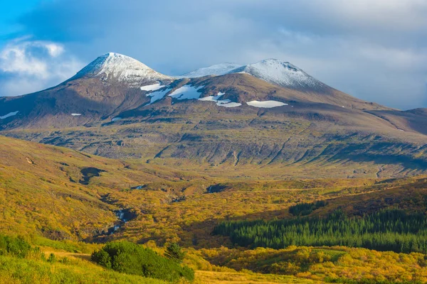 Stunning Fall Landscapes Forest Snow Capped Volcanic Mountains End Hvalfjordur — Stock Photo, Image