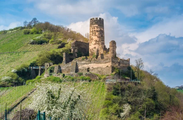 Winnice Ruiny Zamku Pobliżu Bacharach Rhein Powiecie Moguncja Bingen Nadrenii — Zdjęcie stockowe