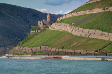Ren Nehri 'nde, heybetli şatoların ve hayranlık uyandıran manzaraların arasında, Rhineland-Palatinate, Almanya