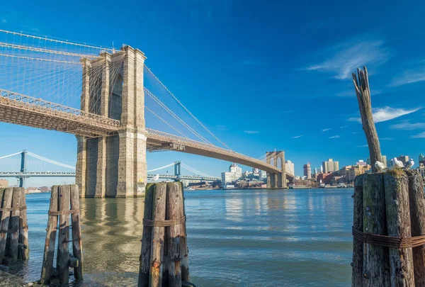 Utsikt Över Brooklyn Bridge Från Manhattan Side New York City — Stockfoto