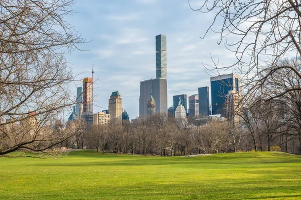 Padang Rumput Domba Pantai New York City Central Park Manhattan — Stok Foto