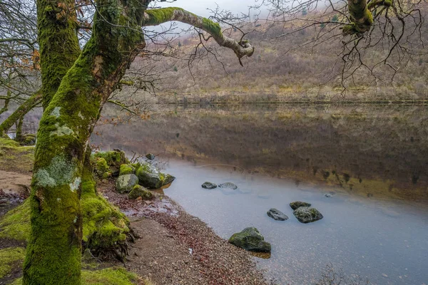 インヴァネスの南西に位置するスコットランド高地にある 大きくて深い淡水のロッホ ロッホ ネスの海岸沿いの風景 — ストック写真