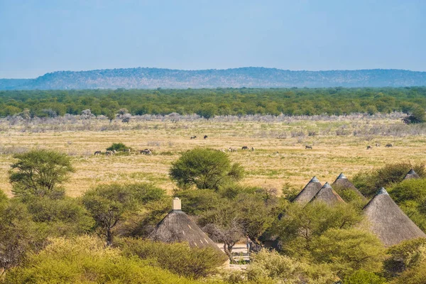 Obóz Okaukuejo Centrum Administracyjne Parku Narodowego Etosha Namibii Pierwotnie Zachodni — Zdjęcie stockowe