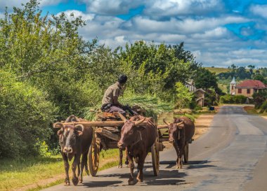 Tana 'nın güneyindeki efsanevi ulusal güzergah olan Madagaskar' da insan ya da Zebu (öküz) tarafından desteklenen yaratıcı insan ve mal taşıma araçları.,