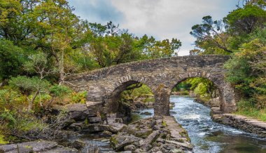 Old Weir Köprüsü, Üç Killarney gölünün (Yukarı, Muckross ve Lough Lane) Killarney Ulusal Parkı ile buluştuğu yer, Kerry County, İrlanda.