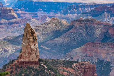 Point Imperial, Kuzey Rim Sahne Yolu 'nun en yüksek manzarası, Grand Canyon Ulusal Parkı, Arizona, ABD