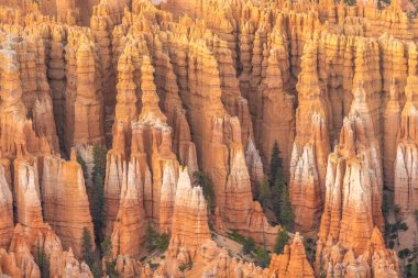 Bryce Kanyonu Ulusal Parkı, Utah, ABD