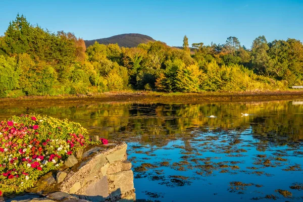 Glengarriff Bay Ring Beara Relativamente Inexplorado Menos Conhecido Pelos Turistas — Fotografia de Stock