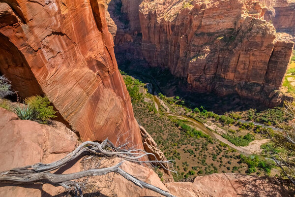 Deep Canyon, Angels Landing, West Rim Trail, Zion Canyon, Zion National Park, Springdale, Utah, USA
