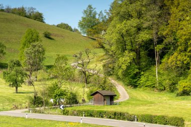 Yukarı Zürih Gölü (Obersee) kıyısında Bollingen, St. Gallen, İsviçre