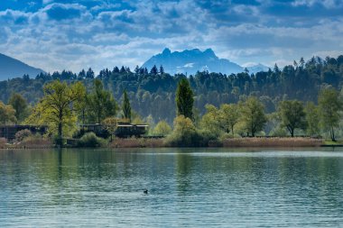 Schmerikon, St. Gallen, İsviçre 'deki Yukarı Zürih Gölü (Obersee) kıyıları boyunca güzel manzaralar