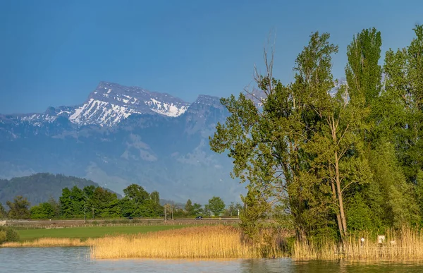 Traumhafte Landschaft Ufer Des Zürichsees Mit Dem Ikonischen Schneebedeckten Sperr — Stockfoto