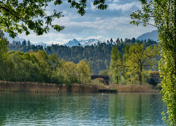 Schöne Landschaften Ufer Des Obersees Schmerikon Gallen Schweiz — Stockfoto