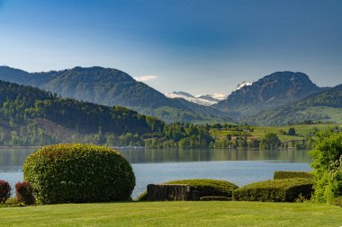 Bollingen yakınlarındaki Yukarı Zürih Gölü (Obersee) boyunca uzanan güzel kıyı manzaraları, Sankt Gallen