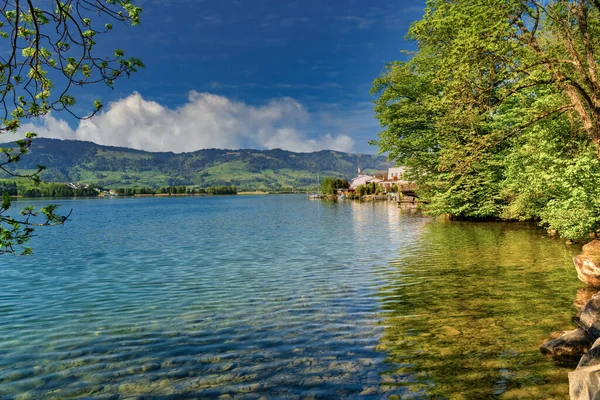 Beautiful Shore Landscapes Upper Zurich Lake Obersee Bollingen Sankt Gallen — Stock Photo, Image