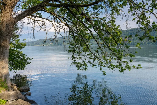 Schöne Uferlandschaften Obersee Bei Bollingen Sankt Gallen — Stockfoto