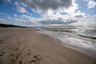 Litvanya 'nın Baltık Denizi kıyısındaki Curonian Spit Ulusal Parkı' nda güzel beyaz kumlu plajlar
