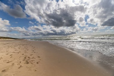 Litvanya 'nın Baltık Denizi kıyısındaki Curonian Spit Ulusal Parkı' nda güzel beyaz kumlu plajlar