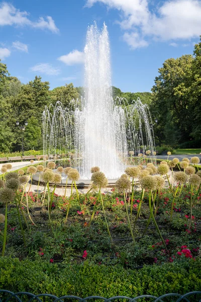 베르나르 Bernardine Garden 리투아니아의 도시빌 뉴스에 공원이다 빌라니 오른편 자리잡고 — 스톡 사진