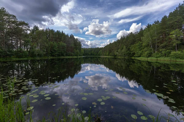 Дивовижні Пейзажі Національному Парку Аукстайтія Литва Перший Національний Парк Литви — стокове фото