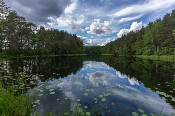 Ошеломляющие Пейзажи Берегу Озера Национальном Парке Аукштайтия Литва Первый Национальный — стоковое фото