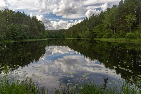 Impressionantes Paisagens Beira Lago Parque Nacional Aukstaitija Lituânia Primeiro Parque — Fotografia de Stock