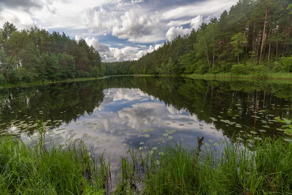 Impressionantes Paisagens Beira Lago Parque Nacional Aukstaitija Lituânia Primeiro Parque — Fotografia de Stock
