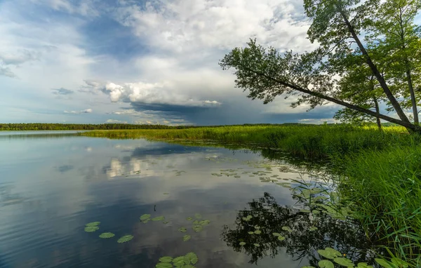 Parques Campismo Locais Beira Lago Parque Nacional Aukstaitija Lituânia Primeiro — Fotografia de Stock