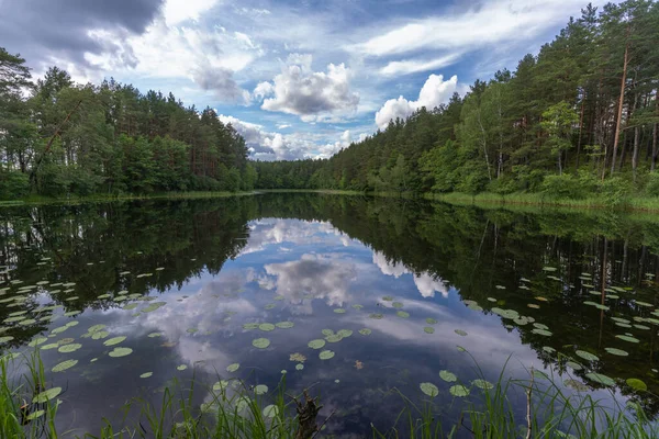 Fantastiska Sjölandskap Aukstaitijas Nationalpark Litauen Litauens Första Nationalpark Royaltyfria Stockbilder
