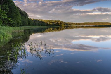 Litvanya 'daki Aukstaitija Ulusal Parkı' ndaki Goergeous Göl Kenarı 'ndaki kamp alanları. Litvanya 'nın ilk milli parkı.