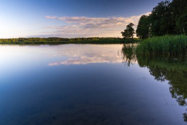 Litvanya 'daki Aukstaitija Ulusal Parkı' ndaki Goergeous Göl Kenarı 'ndaki kamp alanları. Litvanya 'nın ilk milli parkı.