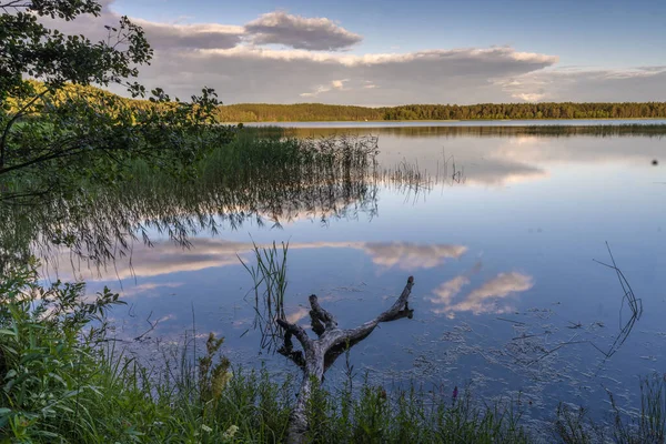 Aukstaitija Nemzeti Parkban Litvániában Található Tóparti Táborhelyek Litvánia Első Nemzeti — Stock Fotó