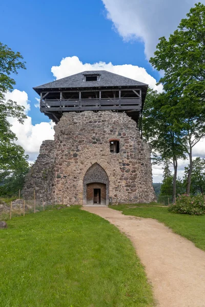 Zamek Sigulda Położony Wzgórzu Widokiem Pradawną Dolinę Rzeki Gauja Parku — Zdjęcie stockowe