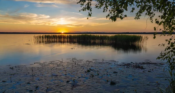 Неймовірний Захід Сонця Національному Парку Лахема Естонія Найбільший Парк Естонії — стокове фото
