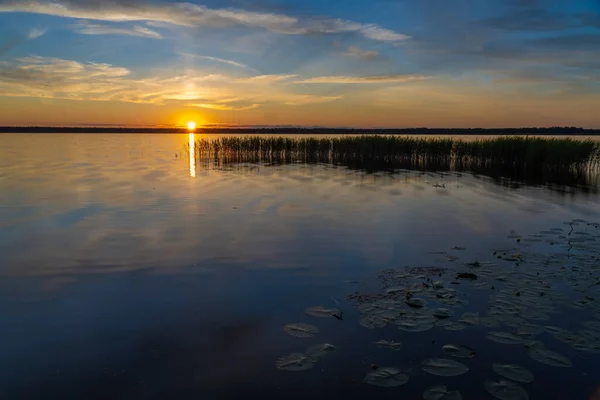 Pôr Sol Deslumbrante Parque Nacional Lahemaa Estónia Maior Parque Estónia — Fotografia de Stock