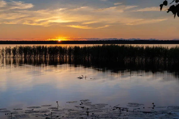 Неймовірний Захід Сонця Національному Парку Лахема Естонія Найбільший Парк Естонії — стокове фото