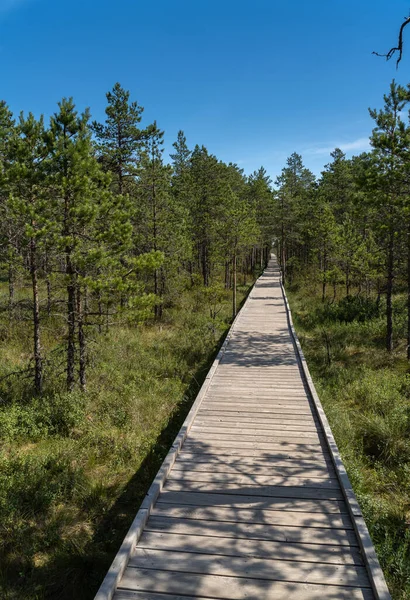 Boardwalk Atas Rawa Besar Lahemaa National Park Estonia Taman Terbesar — Stok Foto