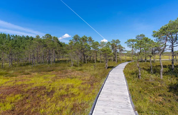 Parque Nacional Riisa Bog Soomaa Tierra Pantanos Una Zona Húmeda — Foto de Stock