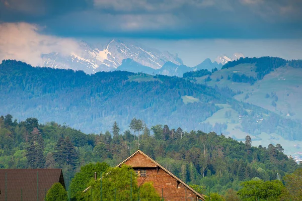 Idylické Venkovské Krajiny Podél Břehu Horního Jezera Zuirch Obersee Blízkosti — Stock fotografie