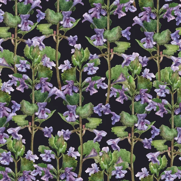 Seamless floral pattern with small purple inflorescences on a dark background. Print for fabric, wallpaper or wrapping paper. Watercolor illustration.