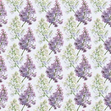 Açık gri arka planda leylak desenli suluboya desen. Kumaş, tasarım, duvar kağıdı veya ambalaj kağıdı için botanik baskı.