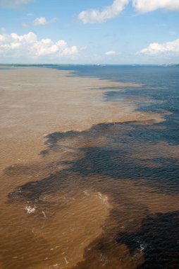 Zenci ve Solimoes nehirlerinin suları Manaus n Amazonia şehrinde buluşuyor..