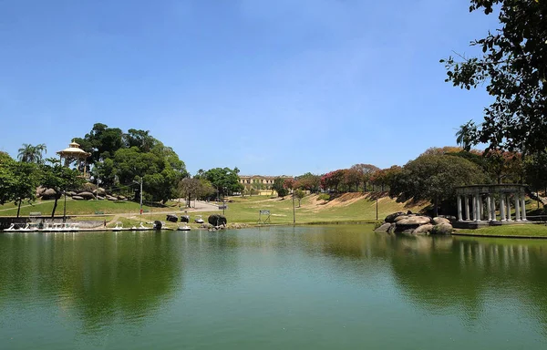 2010年1月10日 里约热内卢昆塔达博阿维斯塔市公园 以国家博物馆为背景的湖景 皇家家族生活在19世纪的历史遗迹 — 图库照片
