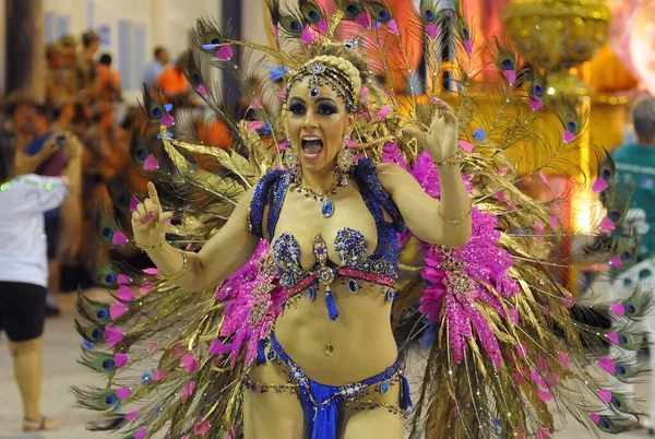 Rio Janeiro Lutego 2015 Parada Szkół Samba Podczas Karnawału Rio — Zdjęcie stockowe